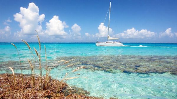 Découvrir Saint-Gilles : expedition marine en catamaran